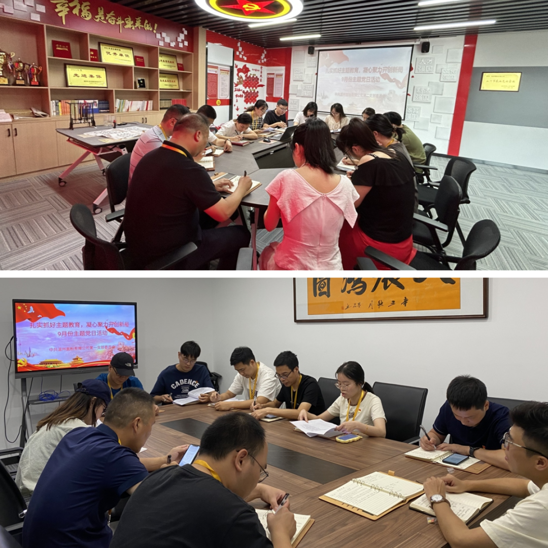 扎實(shí)抓好主題教育，凝心聚力開(kāi)創(chuàng)新局丨面粉公司開(kāi)展9月份主題黨日活動(dòng)